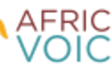 Profile picture for user ElenaGeorgalla